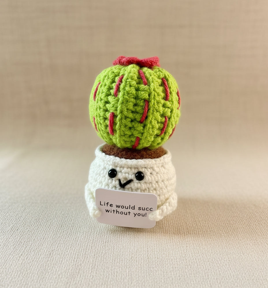 Emotional Support Kaktus - gehäkelte Pflanze im Studio fotografiert 