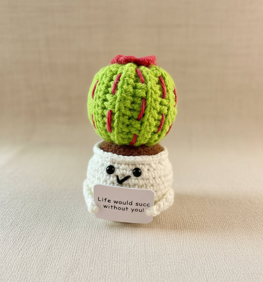 Emotional Support Kaktus - gehäkelte Pflanze im Studio fotografiert 