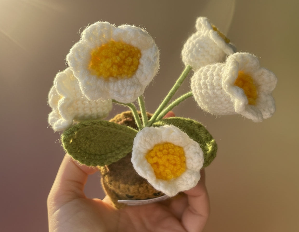 Glockenblume - Emotional Support Plant - Blüten von näher von oben fotografiert